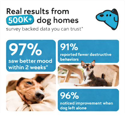 PawHaven™ Dog Calming Diffuser Kit