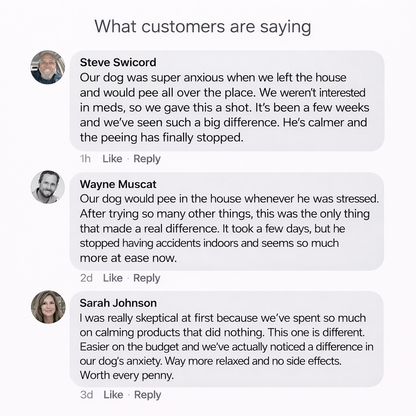 PawHaven™ Dog Calming Diffuser Kit